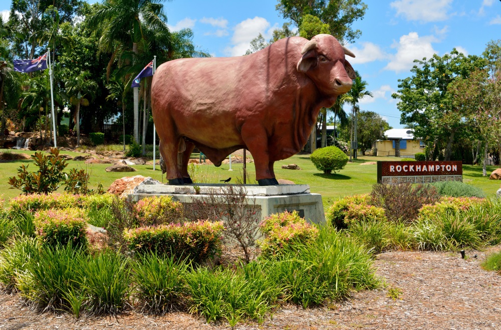 rockhampton cow statue